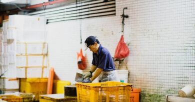 Bezpieczna praca w Holandii – na co uważać?